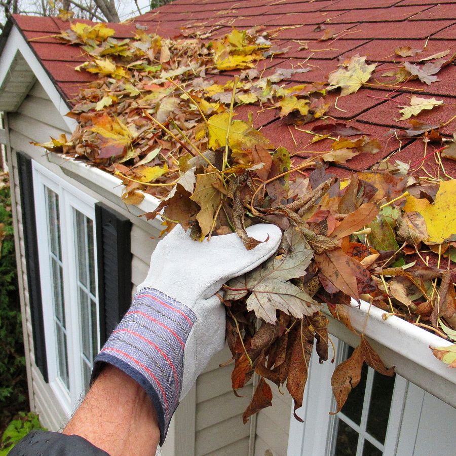 cleaning the gutters