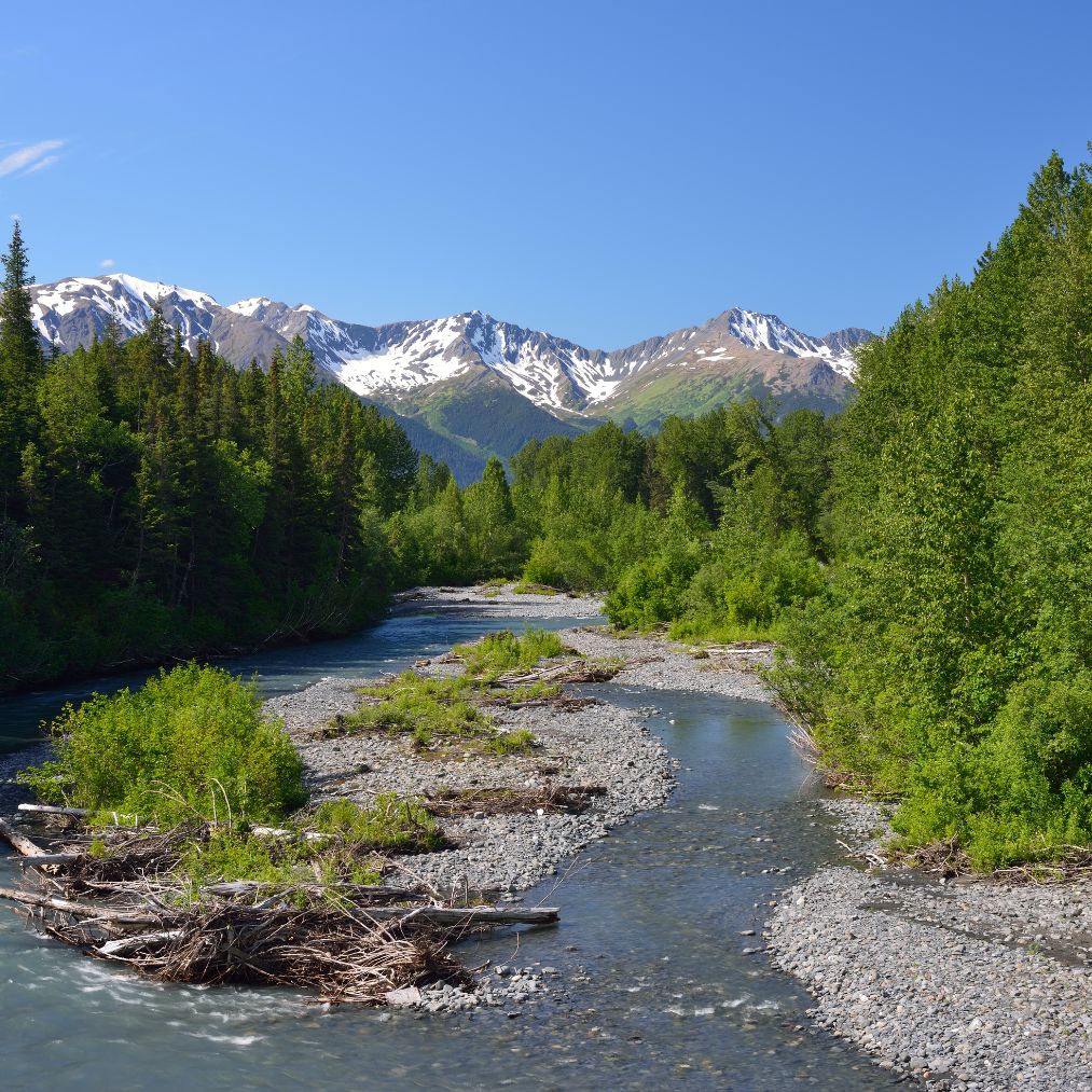 Chugach state park in summer time